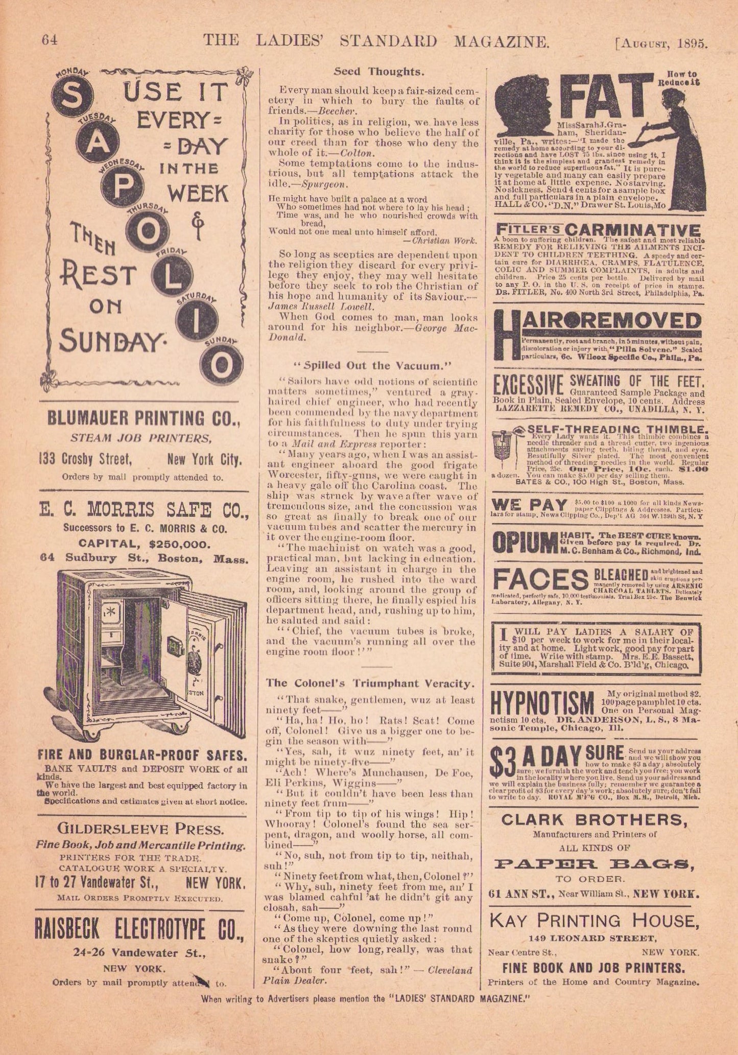 1895 The Ladies Standard Magazine, August. E-book DOWNLOAD, Vol 13 No 6.