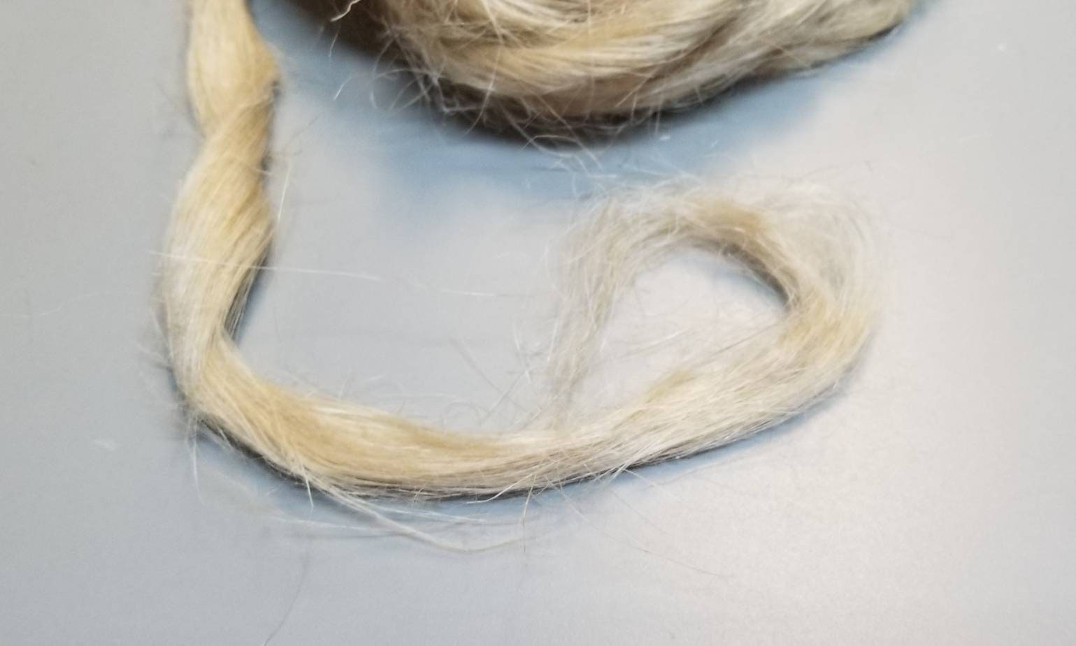 Hemp Fiber. 1 Pound (16 Ounces) Sliver Natural Top Roving. Great for Spinning, Knitting, Weaving, Felting. Ethical & Sustainable Grown