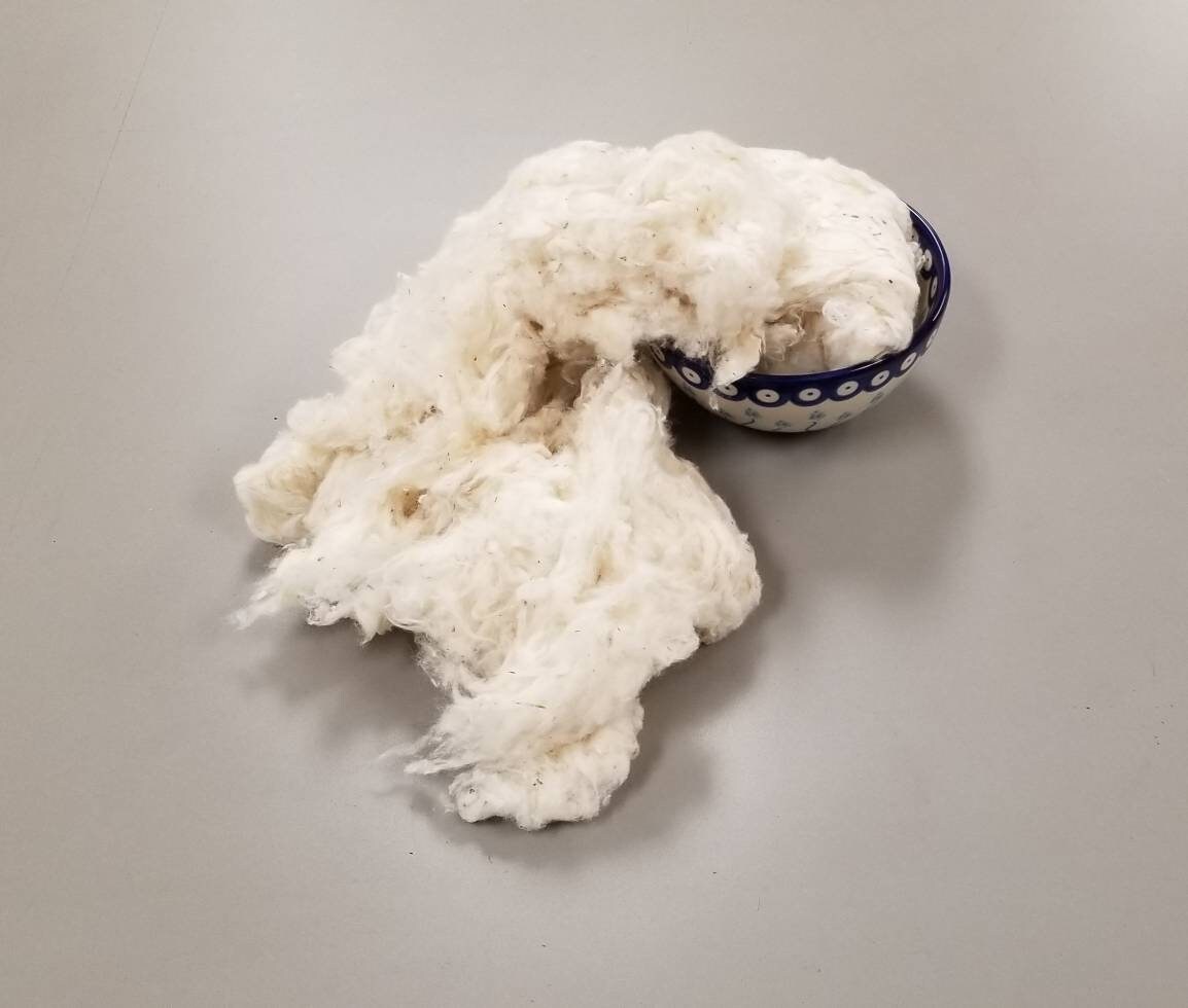 USA (Texas) Certified Organic Cotton Lint – Chemical Free. USA Grown and Ginned. Great for stuffing, carding, spinning, fiber arts, ect