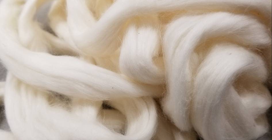 1 Pounds, Organic Cotton Sliver. USA Grown Fiber. Great for Spinning, Knitting, Weaving, and Fiber Arts.