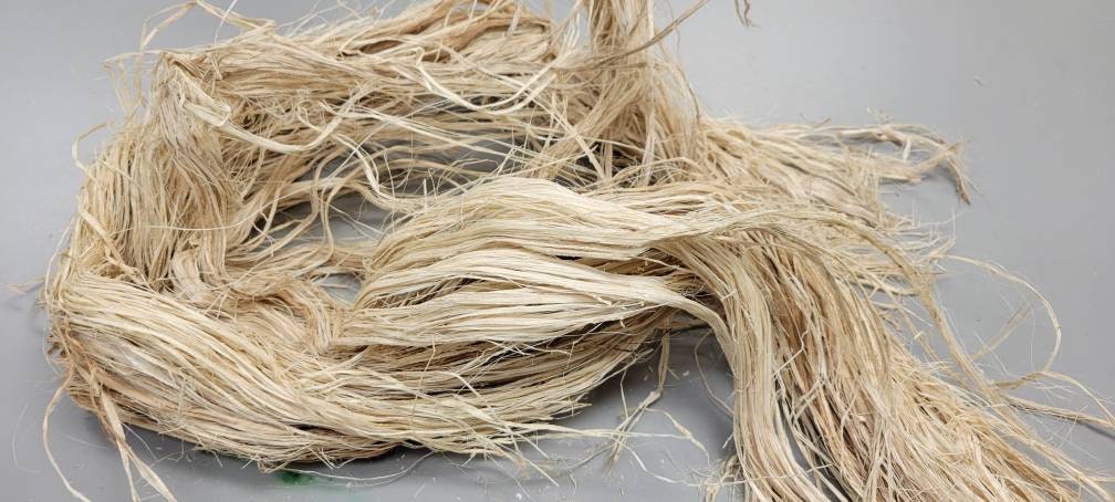 Banana Fiber Bundle. 1 oz. 100% Vegetable Fiber. Great for Basketry, Knitting, Weaving, Fiber Arts