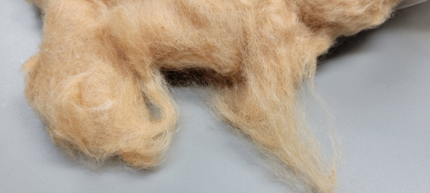 2 Pounds, Brown Cotton Fiber, Semi-Combed, Natural Brown Color. Great for Spinning, Weaving, Crafts and Fiber Arts.