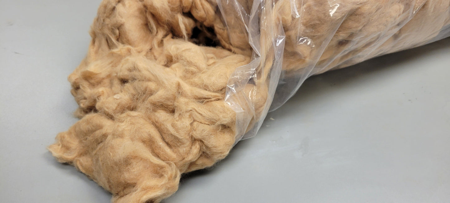 2 Pounds, Brown Cotton Fiber, Semi-Combed, Natural Brown Color. Great for Spinning, Weaving, Crafts and Fiber Arts.