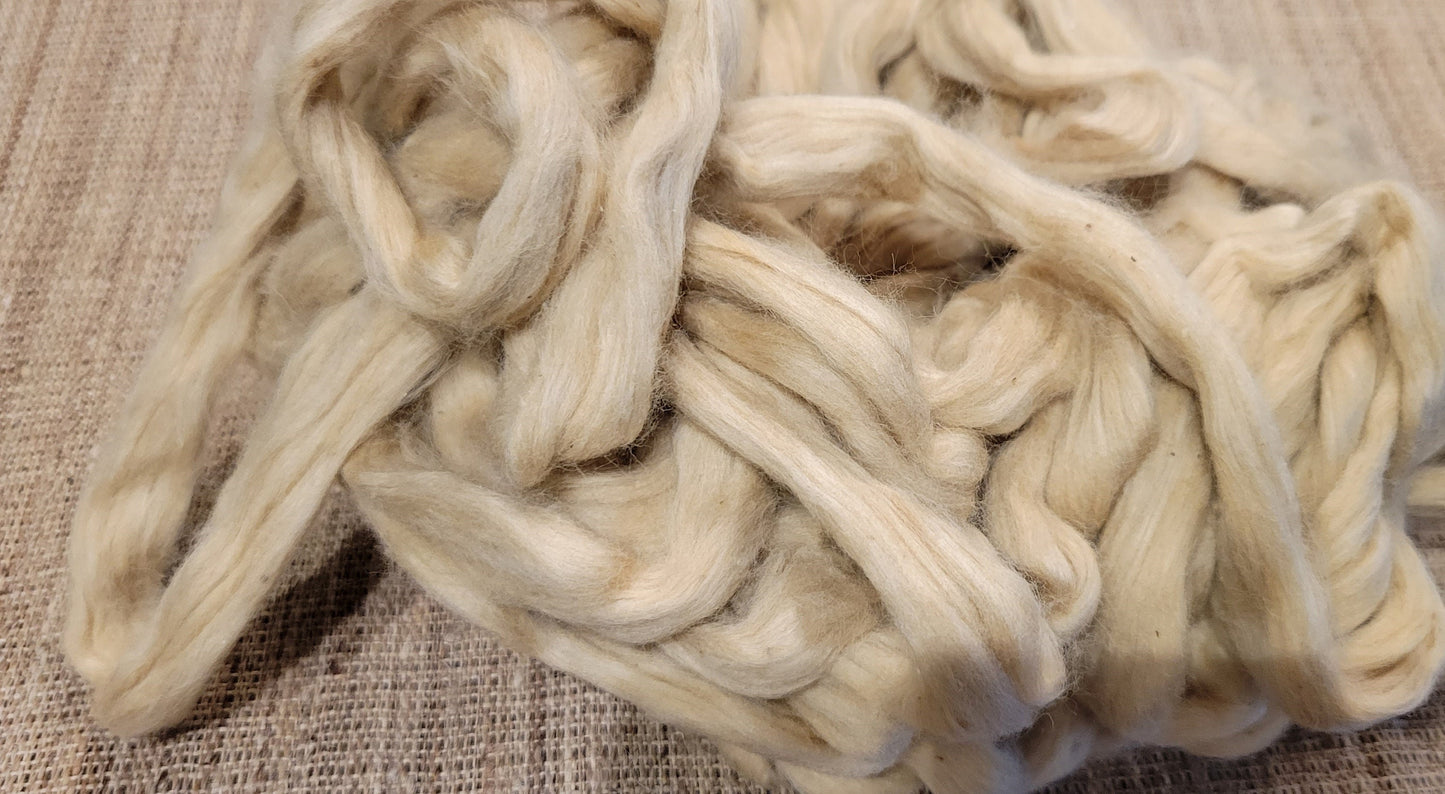 Green Organic Cotton Sliver. 2 oz. Peruvian Grown Natural Colored. Fair Trade. Great for Spinning, Knitting, Weaving. Roving.