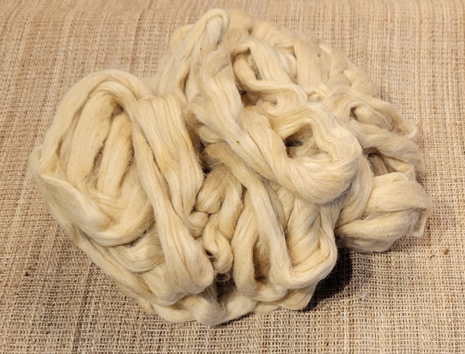 Green Organic Cotton Sliver. 2 oz. Peruvian Grown Natural Colored. Fair Trade. Great for Spinning, Knitting, Weaving. Roving.