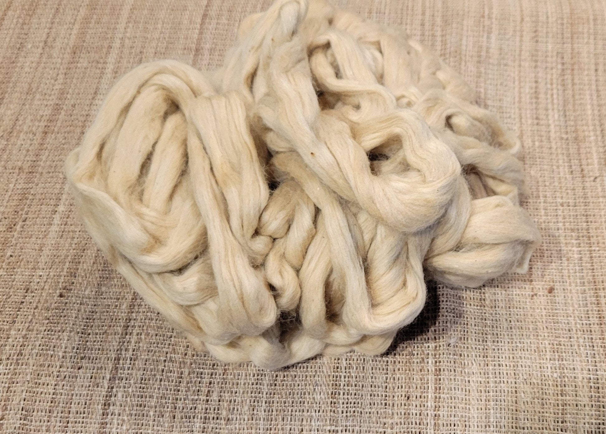 Green Organic Cotton Sliver. 2 oz. Peruvian Grown Natural Colored. Fair Trade. Great for Spinning, Knitting, Weaving. Roving.