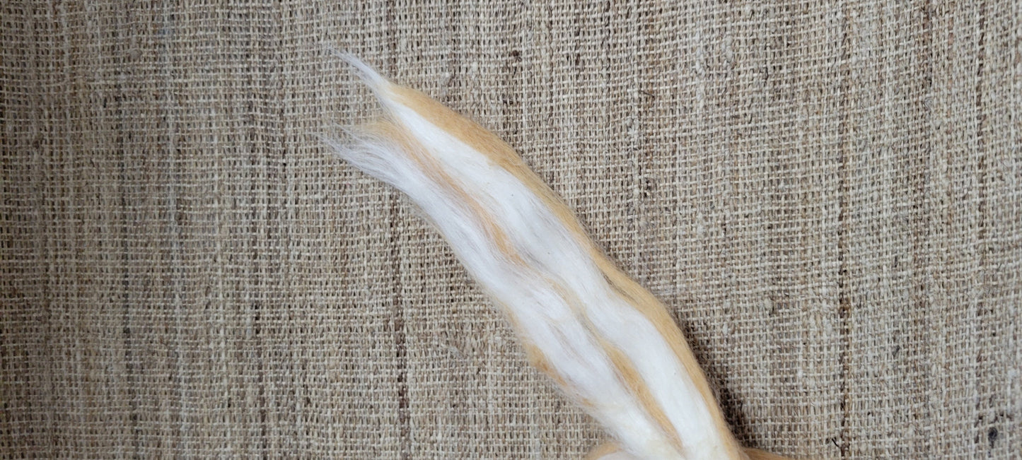 Natural Brown / Natural White Cotton Sliver. USA Grown. Great for Spinning, Knitting, Weaving, Felting