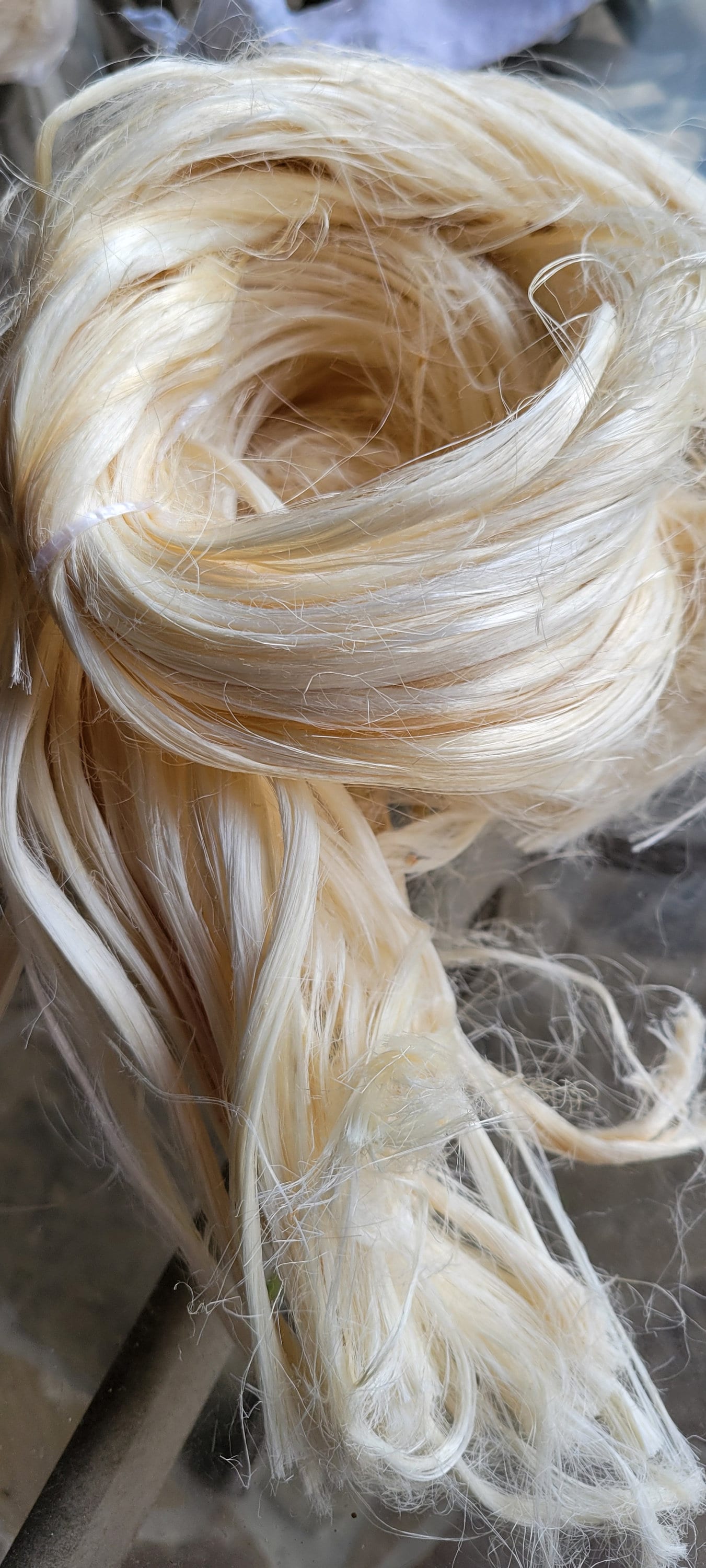 Lotus Flower Plant Long Fiber Bundle. 1 oz. 100% Natural Fiber. Great for Basketry, Knitting, Weaving, Fiber Arts, ect.