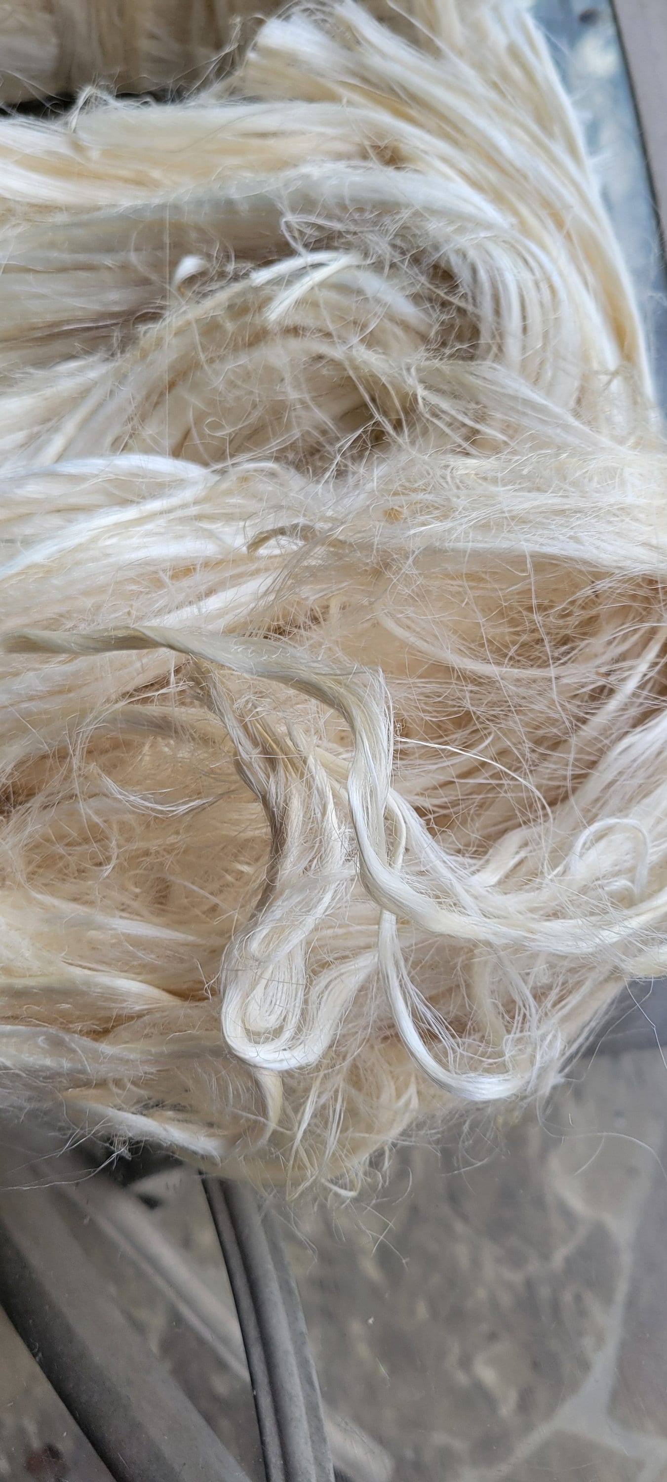 Lotus Flower Plant Long Fiber Bundle. 1 oz. 100% Natural Fiber. Great for Basketry, Knitting, Weaving, Fiber Arts, ect.