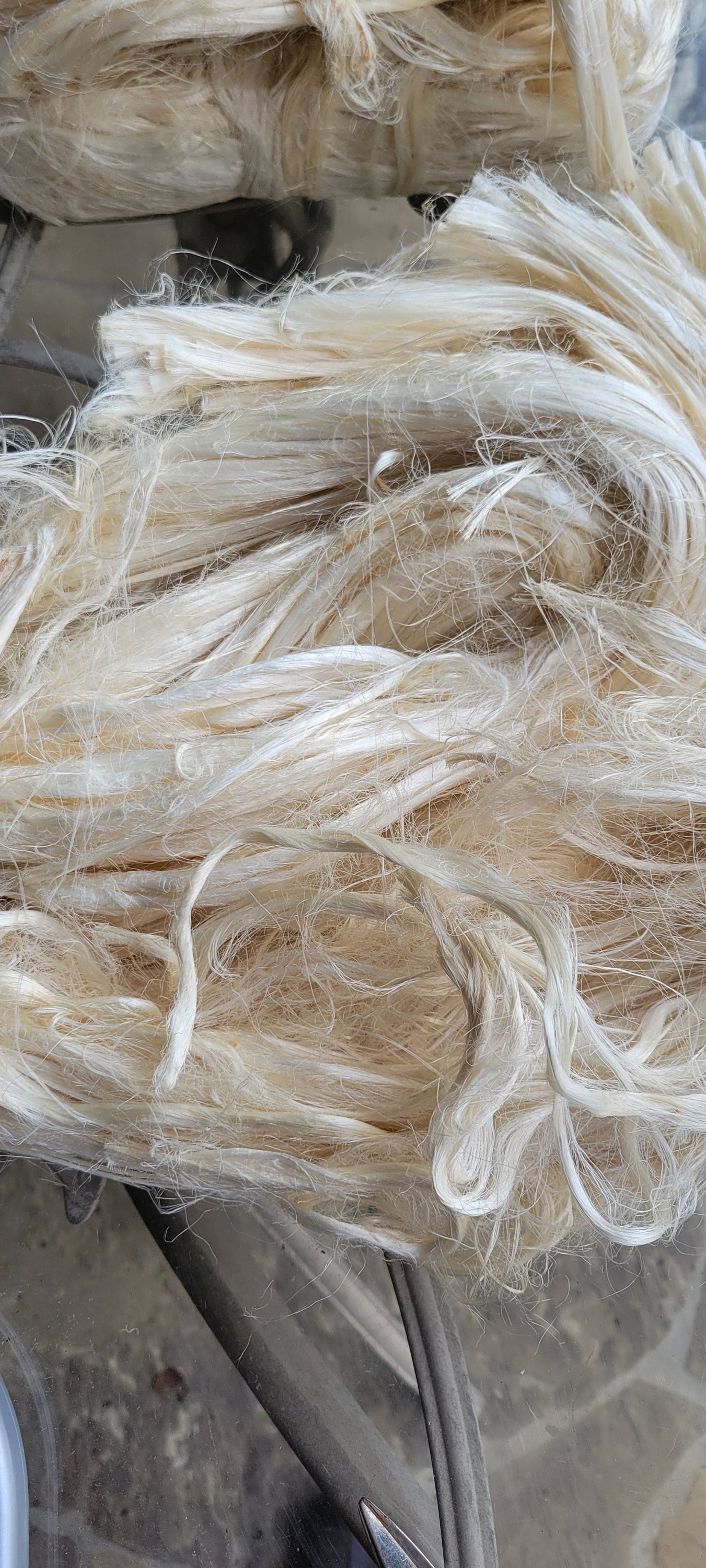 Lotus Flower Plant Long Fiber Bundle. 1 oz. 100% Natural Fiber. Great for Basketry, Knitting, Weaving, Fiber Arts, ect.