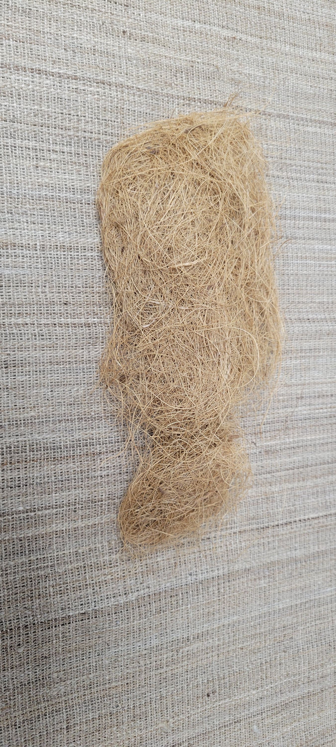 Coconut Fiber Bundle, Sold by 1 ounce, 100% Vegetable Fiber, Raw Not Combed, Great for Basketry, Pottery, Weaving, Fiber Arts and Crafts.