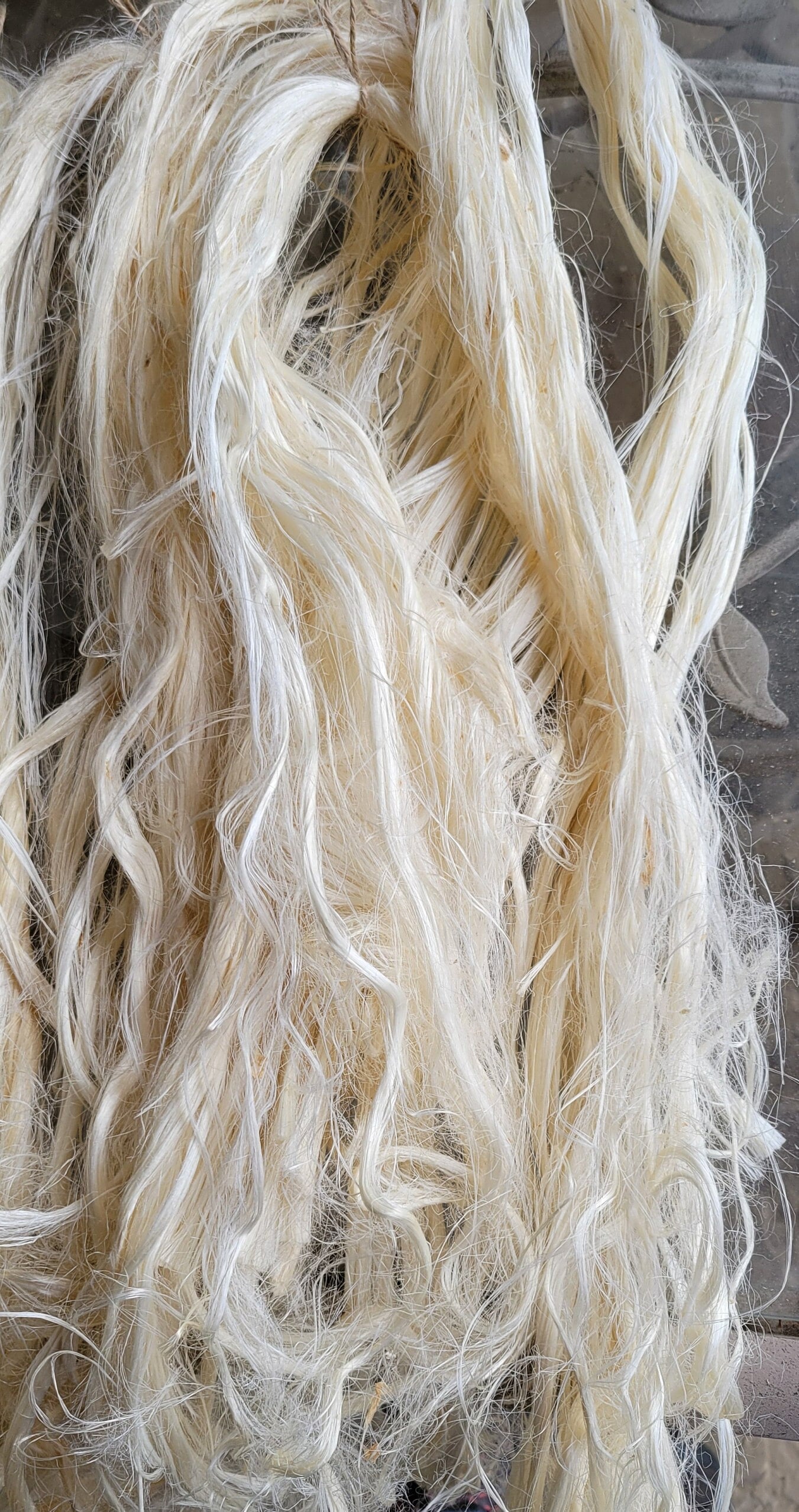 Lotus Flower Plant Long Fiber Bundle. 1 oz. 100% Natural Fiber. Great for Basketry, Knitting, Weaving, Fiber Arts, ect.