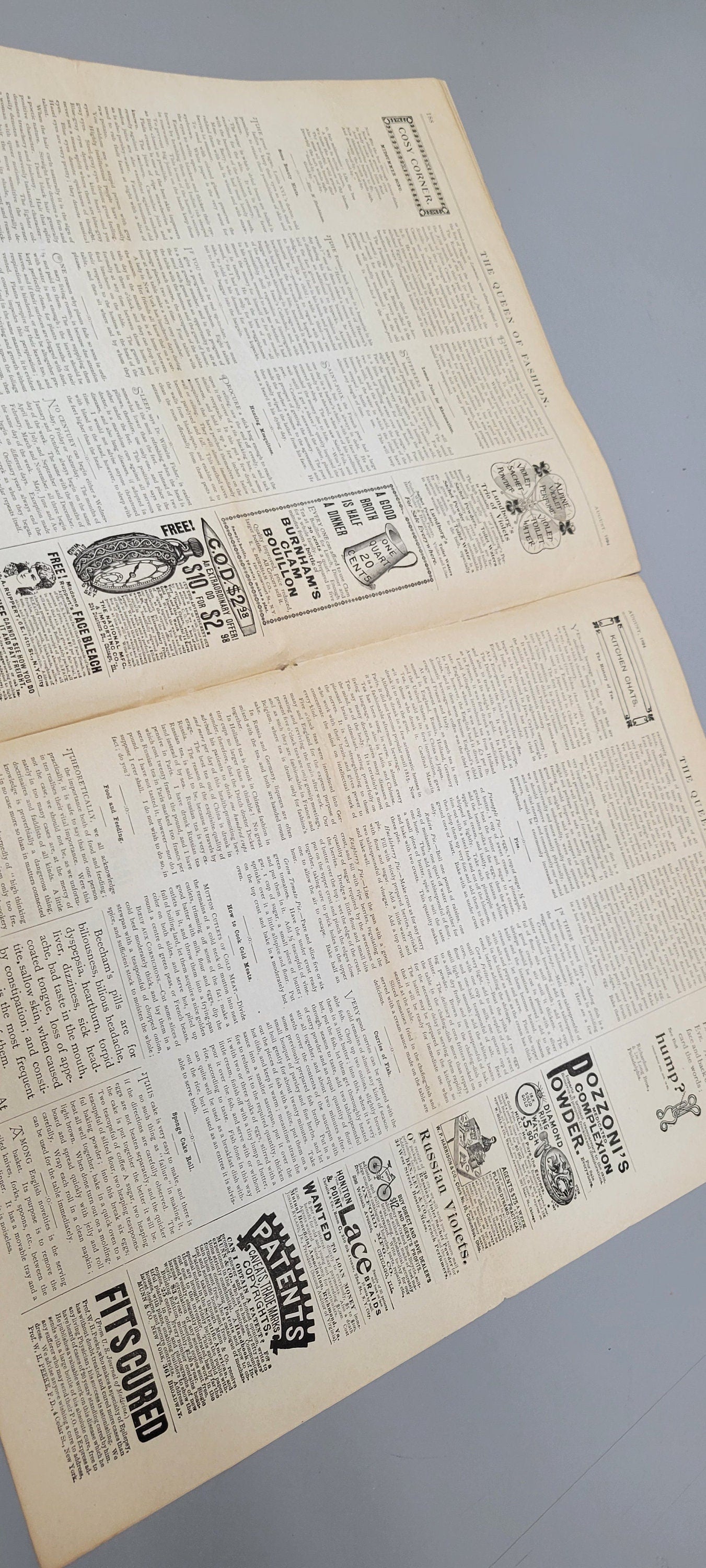 1894 Original The Queen of Fashion Paper August. The McCalls Co. The Best Ladies' Fashion Journal Catalog, Mail Order, Vol 21 No 12.