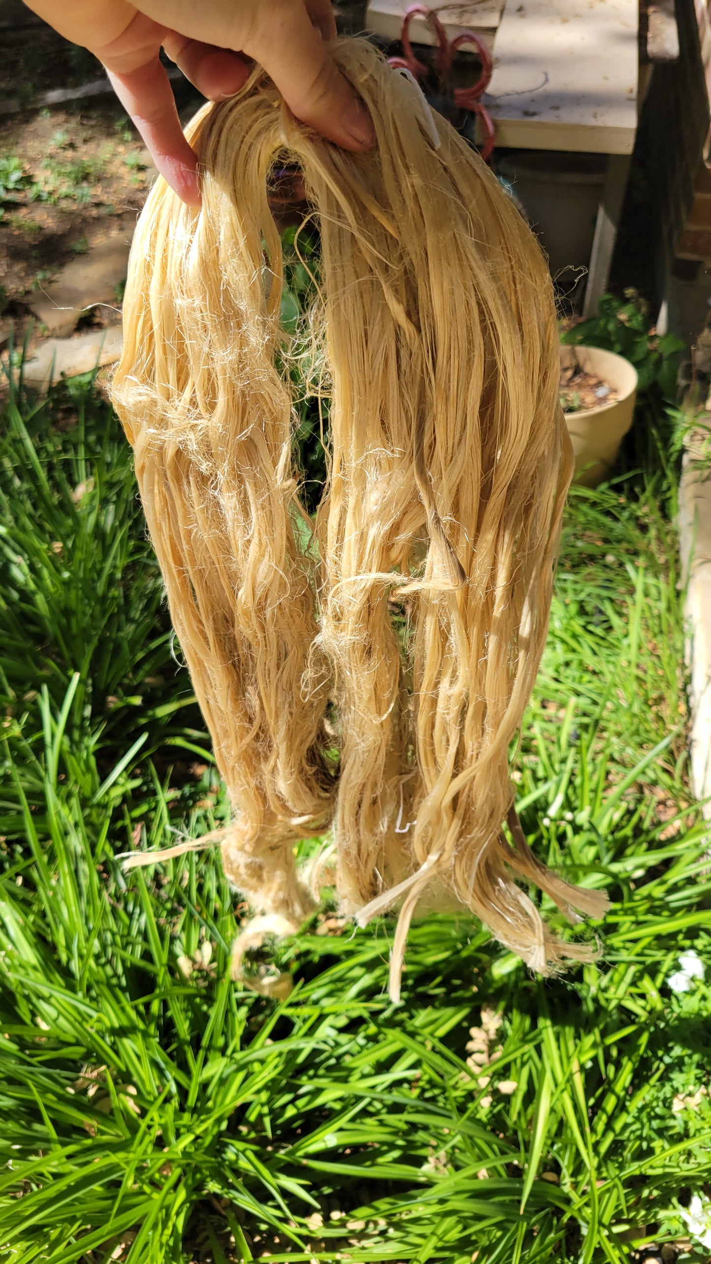 Corn Long Fiber Bundle. Natural Semi-Combed Fiber. 1 ounce.