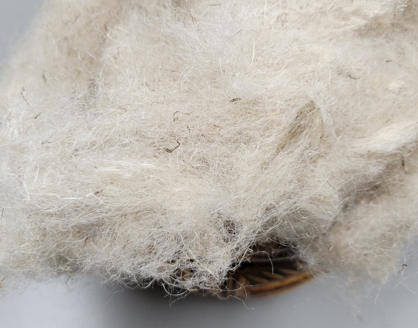 Nettle Fiber. Degummed, Uncarded 'Cottonized' Fiber. 1 oz.